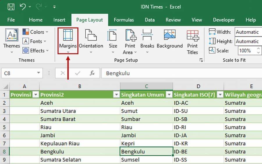 ilustrasi page setup Excel (IDN Times/Laili Zain)