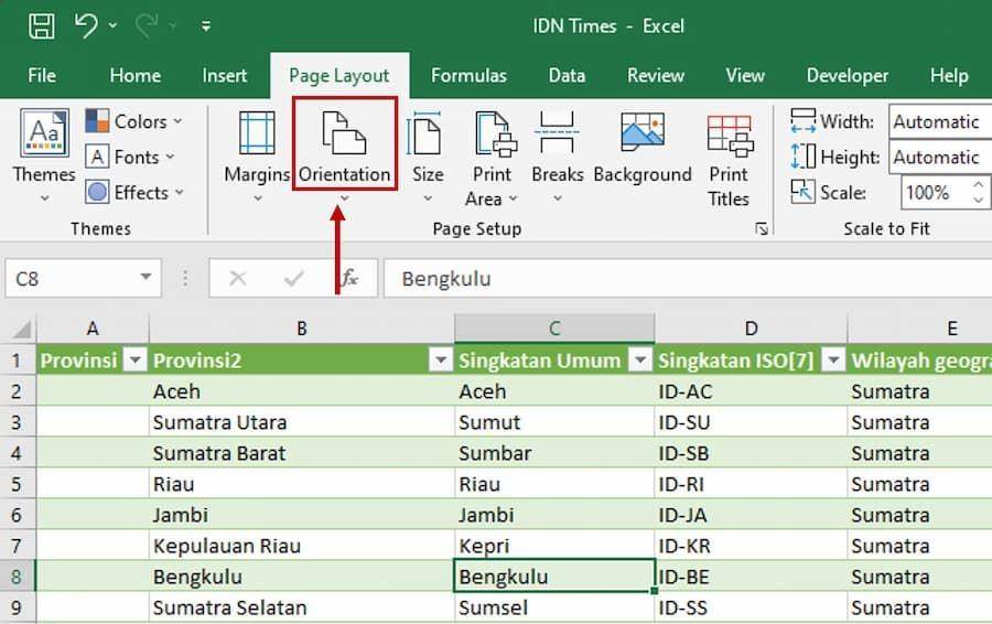 ilustrasi page setup Excel (IDN Times/Laili Zain)