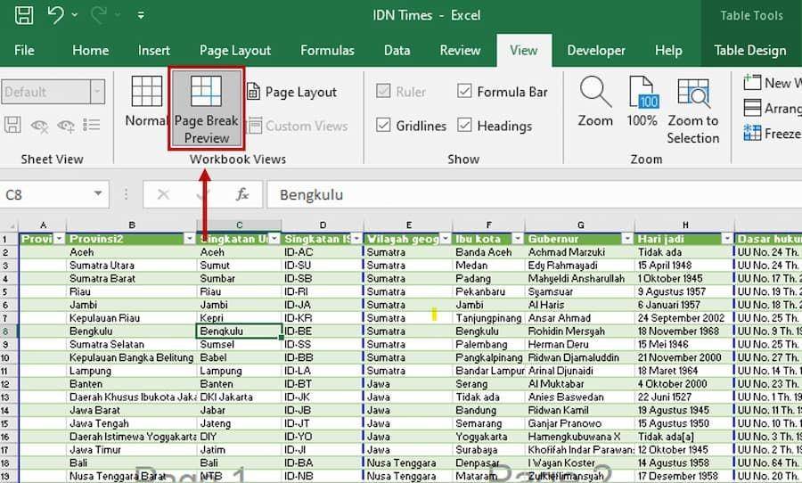 ilustrasi page setup Excel (IDN Times/Laili Zain)