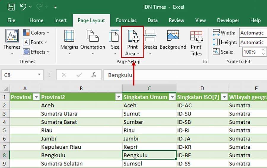 ilustrasi page setup Excel (IDN Times/Laili Zain)