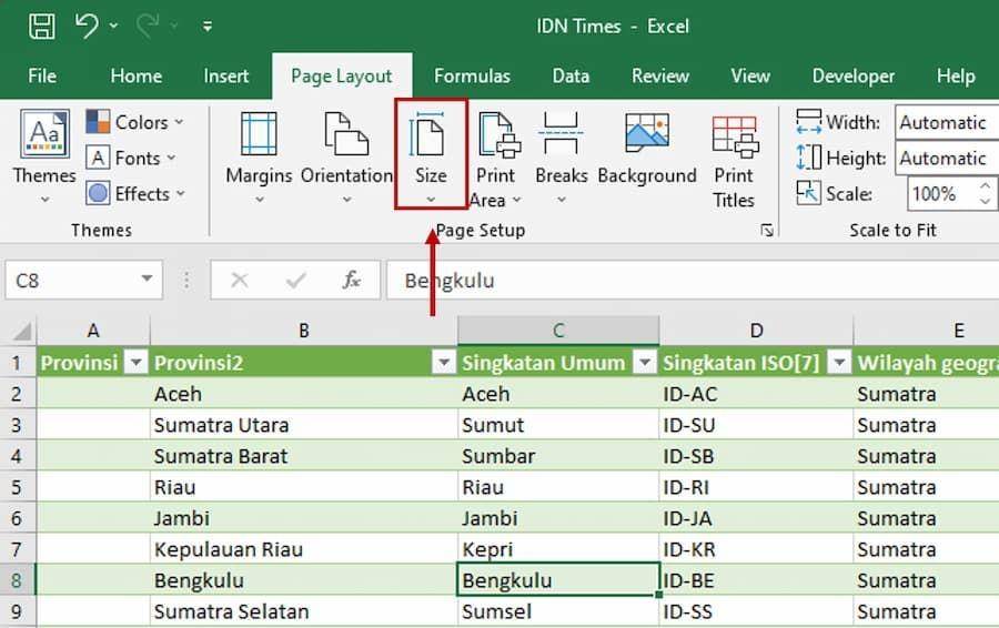 ilustrasi page setup Excel (IDN Times/Laili Zain)