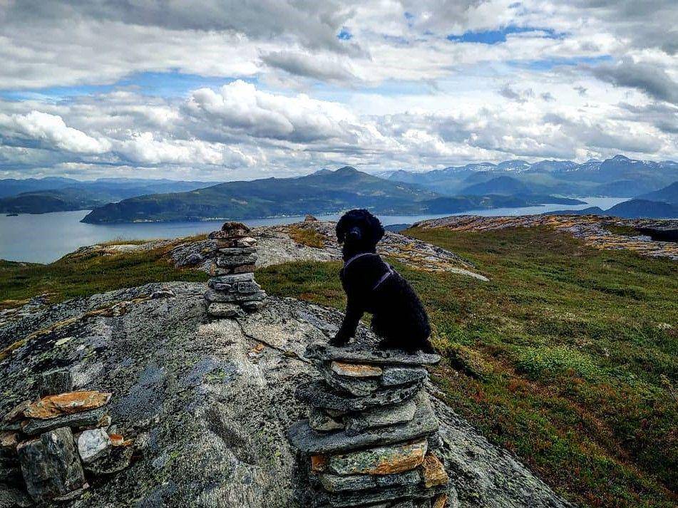 potret Kjerkeberget (instagram.com/junirosann)