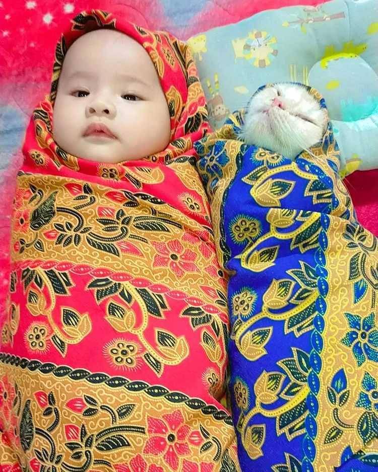 potret kucing pasrah dengan keadaan (instagram.com/kochii_kochii)