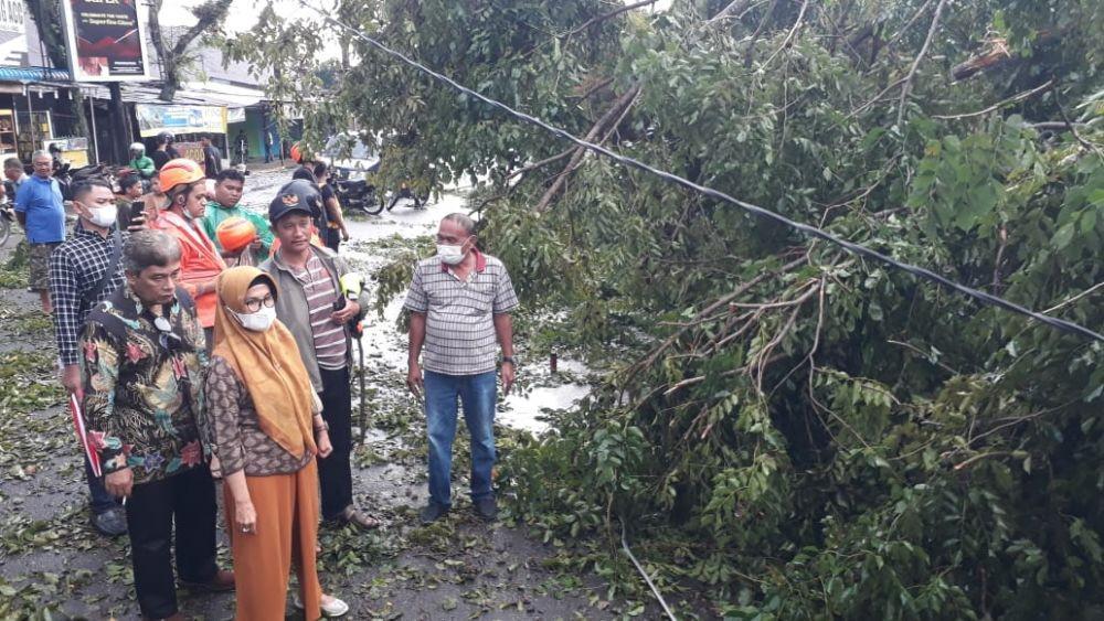 Plt Wali Kota Siantar Susanti Dewayani turun ke lokasi pohon tumbang (IDN Times/Gideon Aritonang)