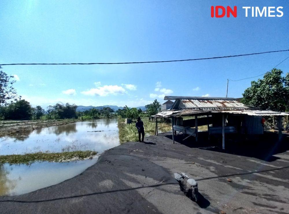 Banjir Rob di Klungkung Rendam Lahan Pertanian dan Penggaraman