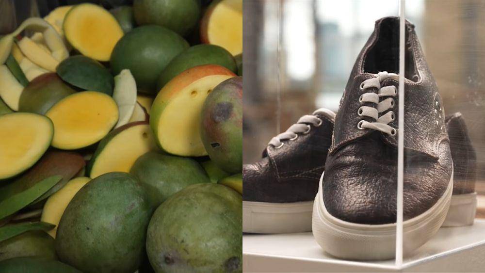 mangga menjadi kulit (youtube.com/businessinsider)