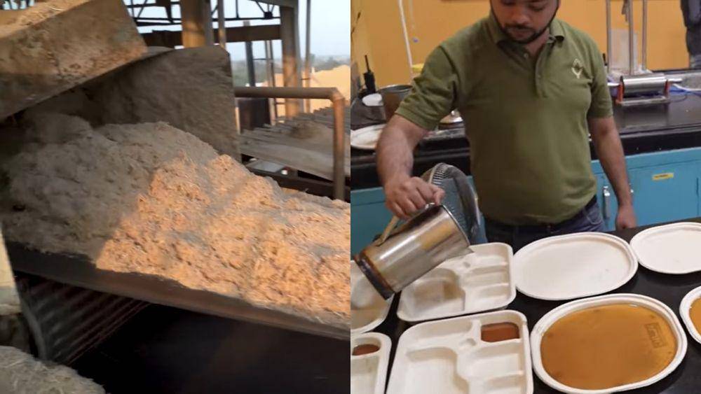 ampas tebu menjadi piring biodegradable (youtube.com/businessinsider)