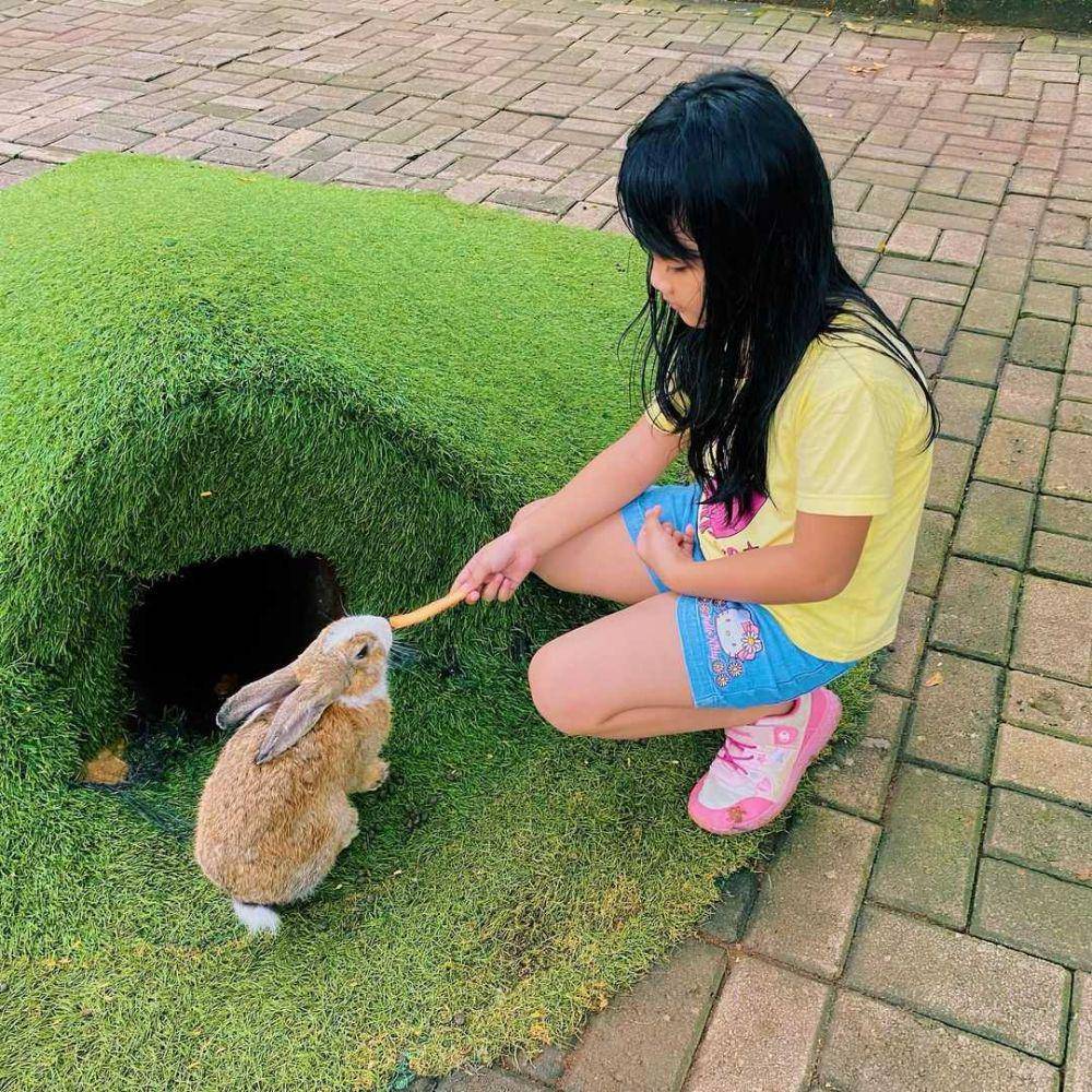 Scientia Square Park (Instagram.com/scientiasquare.park)