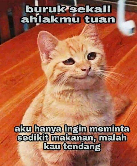 meme pesan untuk saling berbagi kepada sesama ciptaan Tuhan (instagram.com/meme.indonesia.asli)