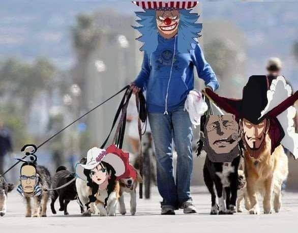 Pandangan dunia kepada Buggy sekarang ( Dok. twitter.com/@aristides_HDP)