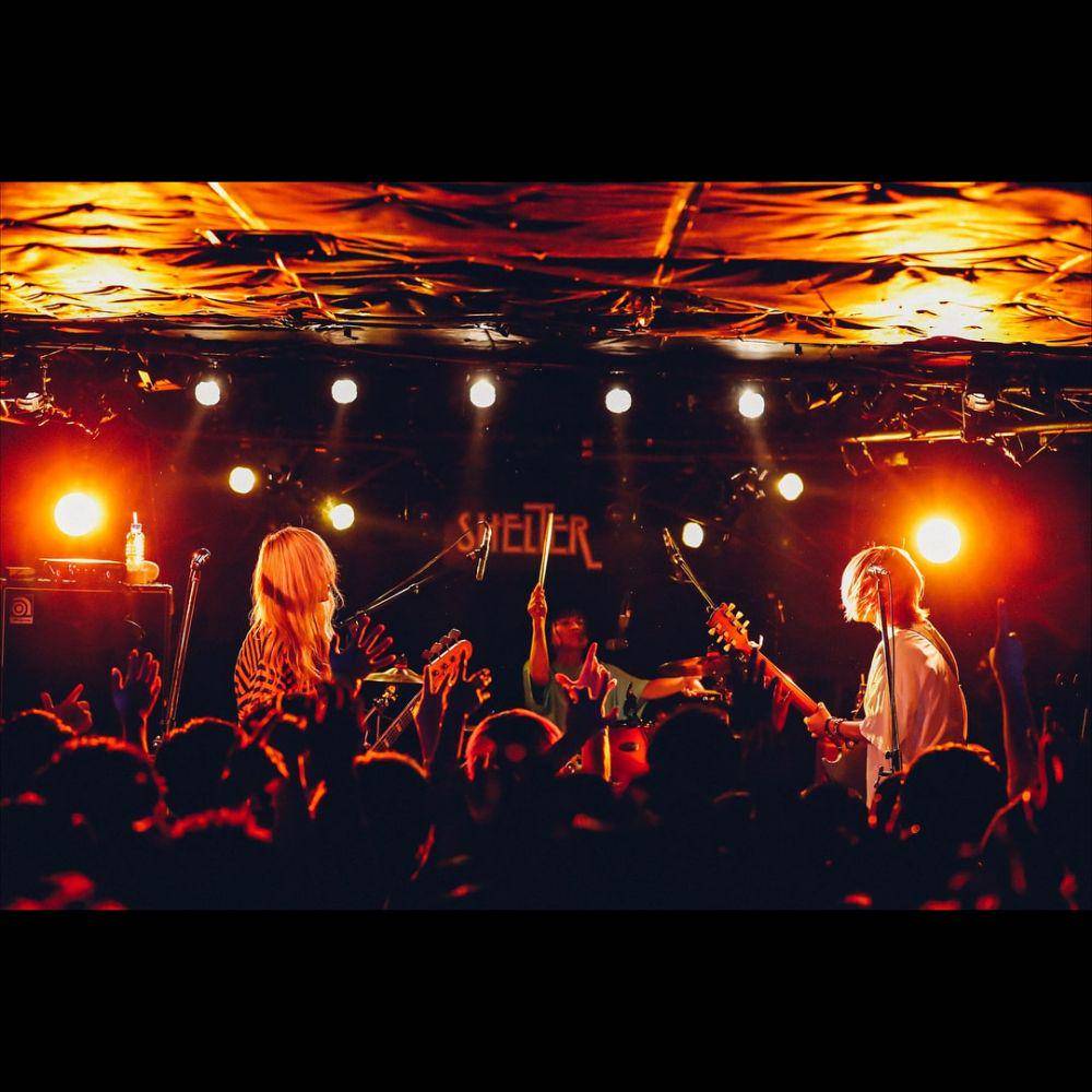The Peggies (instagram.com/the_peggies)