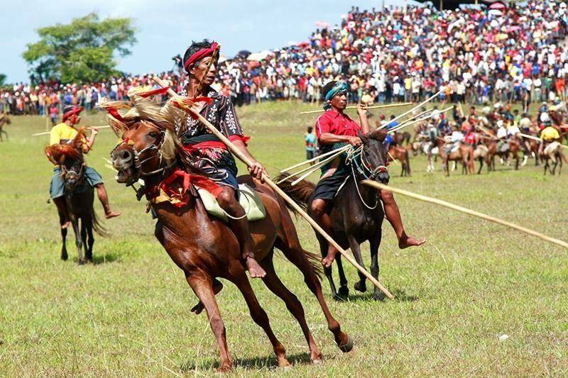 tradisi perang adat Pasola Sumba, NTT (kepulauanntt.blogspot.com)