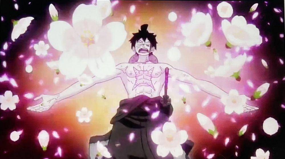 Toei Animation/One Piece