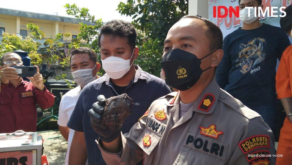 Modus Baru di Bali! Batang Ganja Direndam dan Diolah Jadi Cokelat
