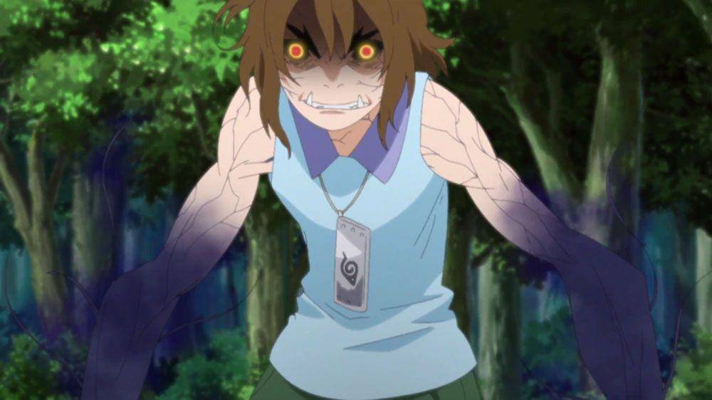 studio pierrot/Boruto
