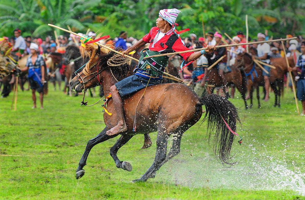5 Fakta Unik Pasola, Perang Adat Sumba dan Kisah Cinta Segitiga