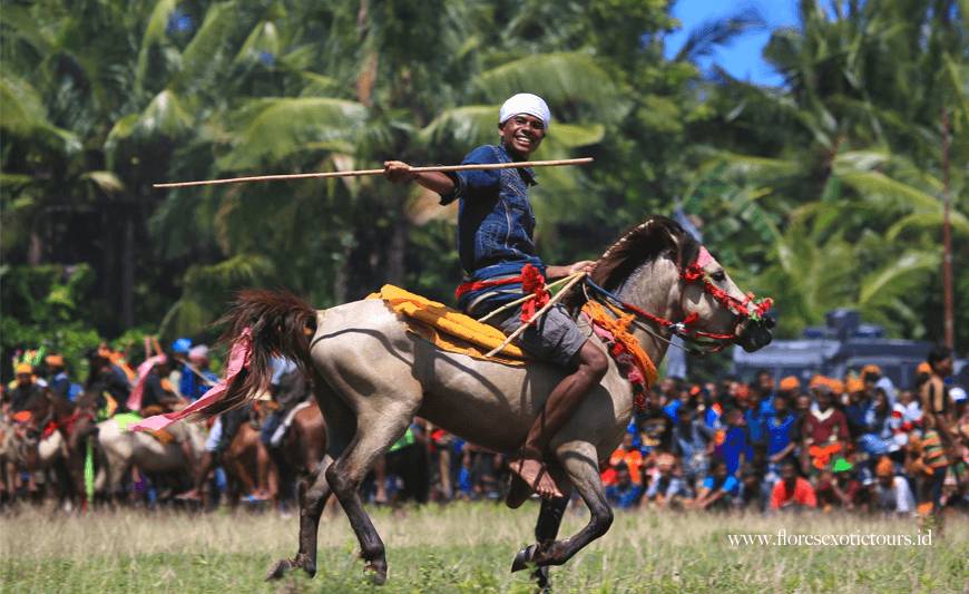 tradisi perang adat Pasola Sumba, NTT (floresexotictours.id)