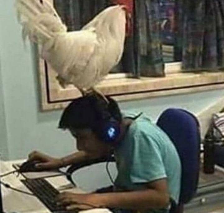 momen kocak orang saat main game (instagram.com/cursedcorner)