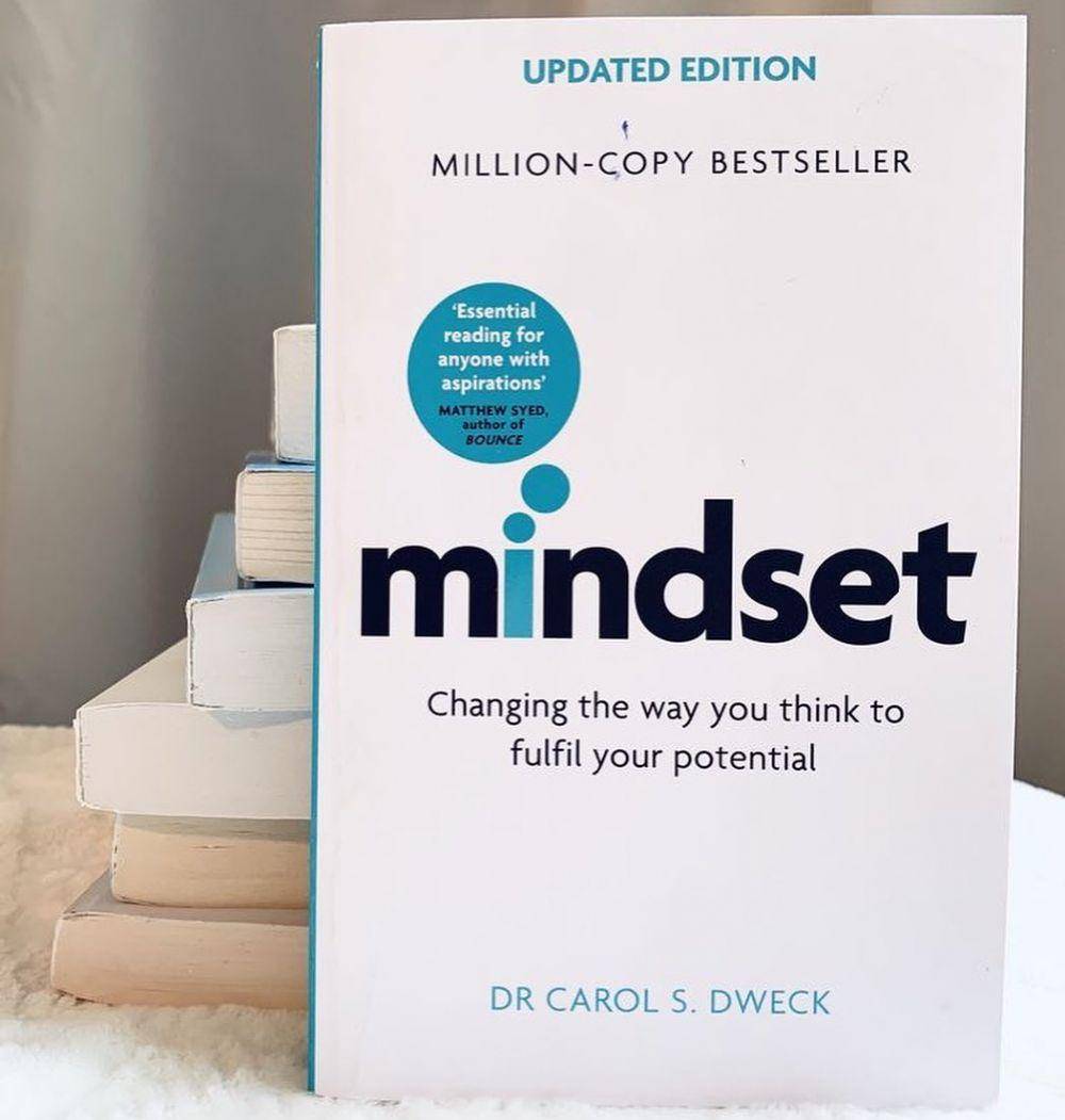 Ilustrasi cover buku Mindset (instagram.com/bookliophilia)