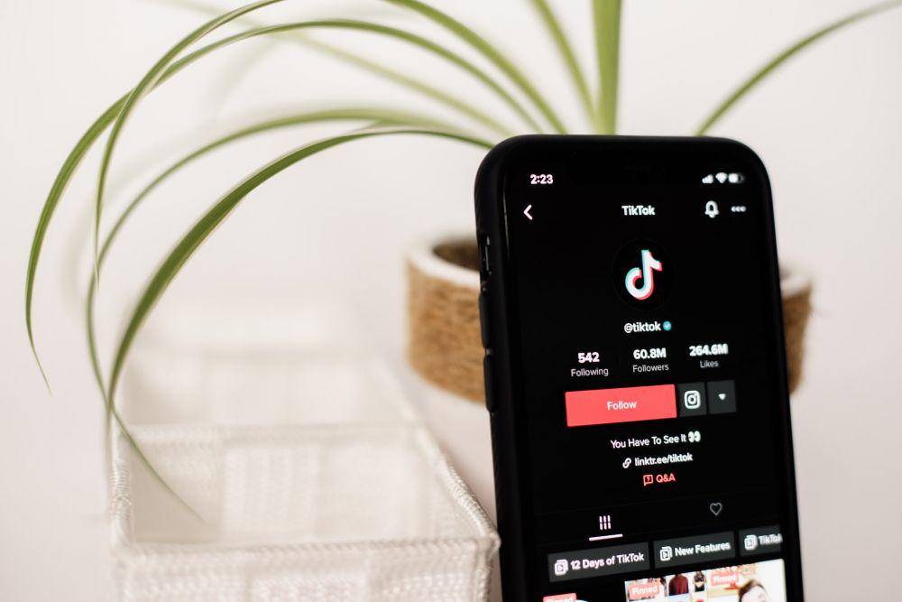 ilustrasi akun Tiktok influencer (unsplash.com/Collabstr)