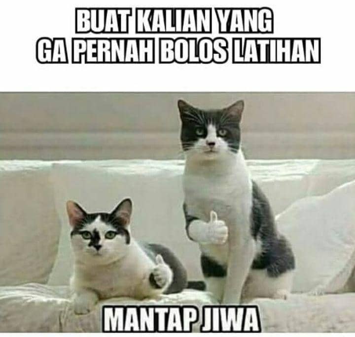 meme tentang anak paskibra (instagram.com/meme_paskirba)