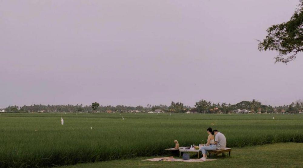Lokasi piknik di tangerang, padipadi pakuhaji (Instagram.com/padipadi.official)