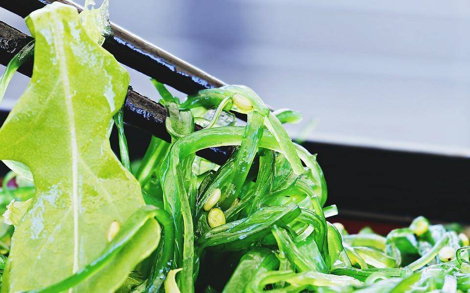 Wakame salad (pixabay.com/pixel2013)
