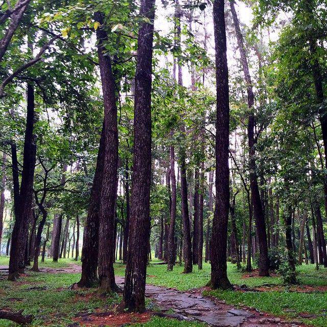 potret Taman Wisata Alam Punti Kayu (instagram.com/riosuperstar)
