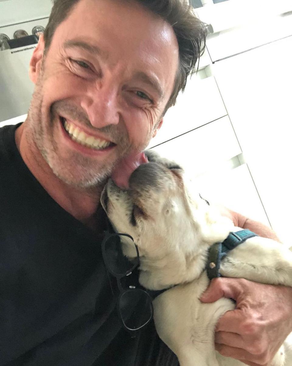 potret Hugh Jackman dan anjing peliharaan. (instagram.com/thehughjackman)