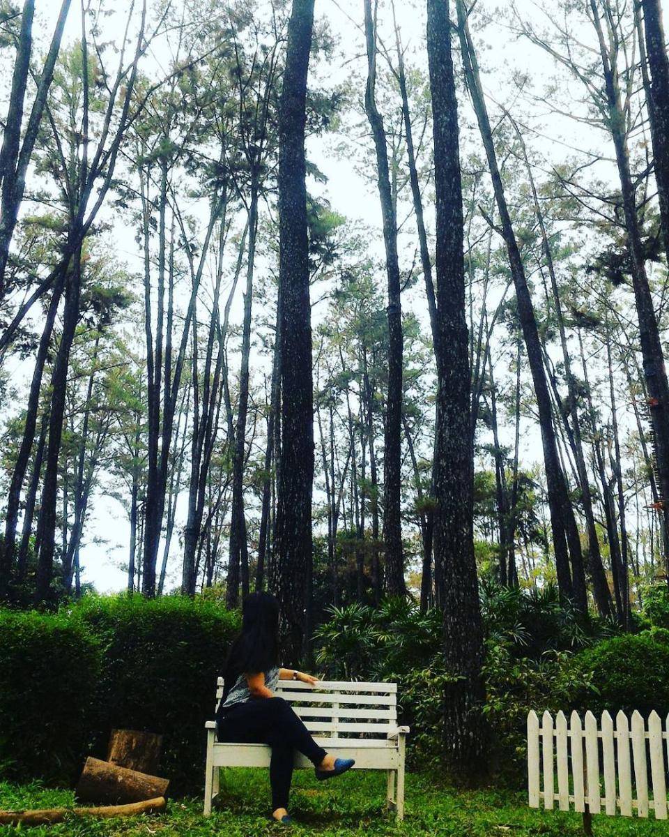potret Taman Wisata Alam Punti Kayu (instagram.com/dianarianti21)