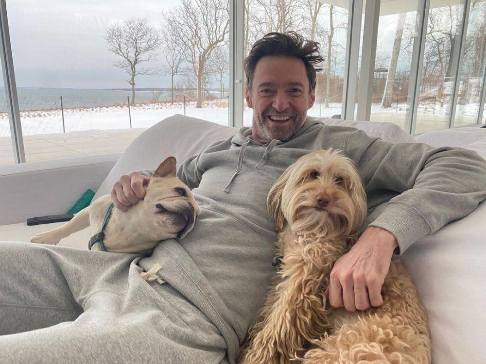 potret Hugh Jackman dan anjing peliharaan. (instagram.com/thehughjackman)