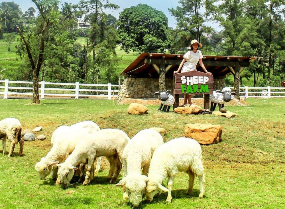 5 Lokasi Wisata Serba Hewan di Puncak Bogor, Liburan Makin Seru