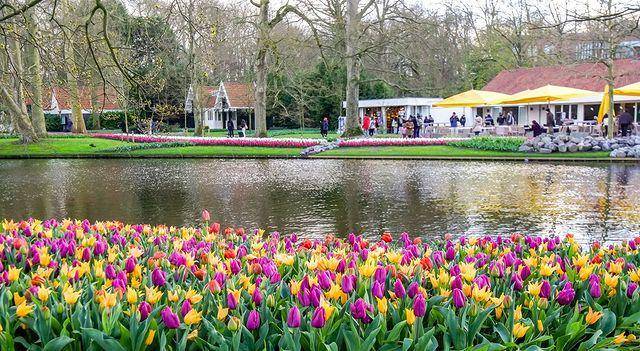 potret danau di area Keukenhof (instagram.com/visitkeukenhof)