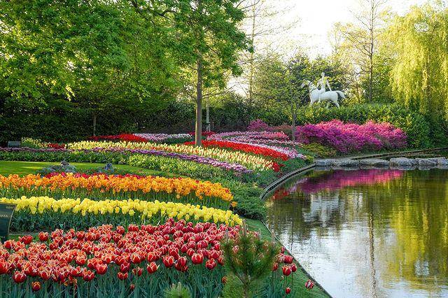 keindahan festival bunga tulip (instagram.com/visitkeukenhof)