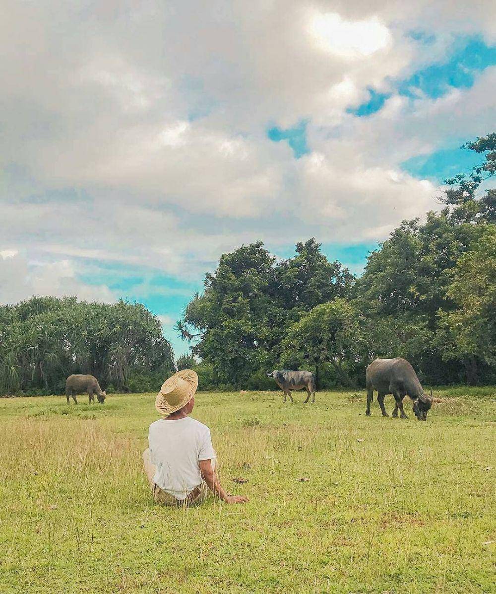 Taman Nasional Meru Betiri (instagram.com/rizalulala)