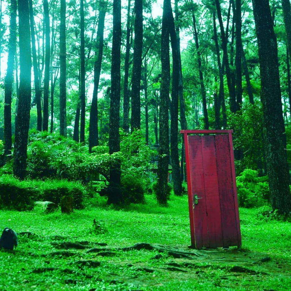 potret Taman Wisata Alam Punti Kayu (instagram.com/i_fadh)