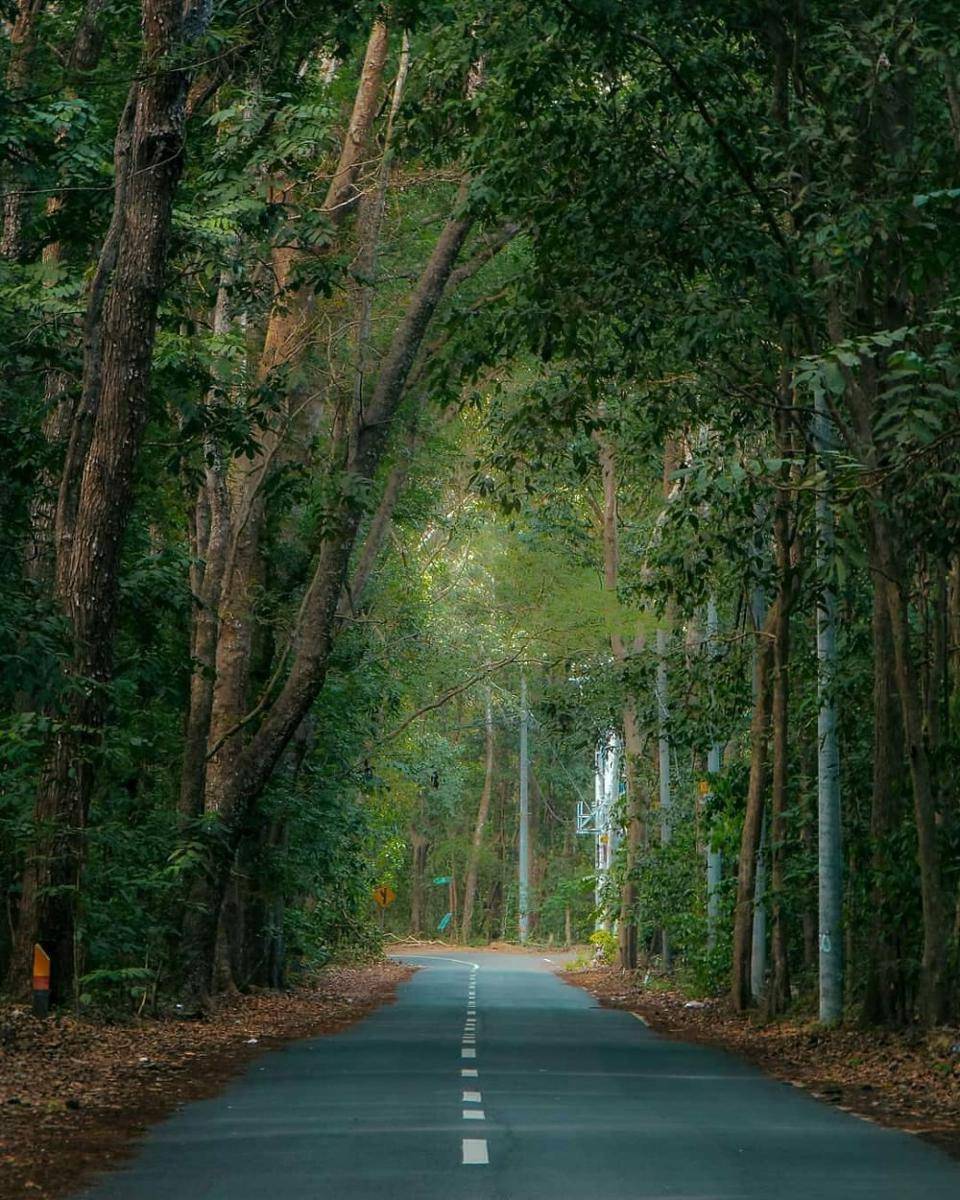 Taman Nasional Alas Purwo (instagram.com/adityagusetyawan)