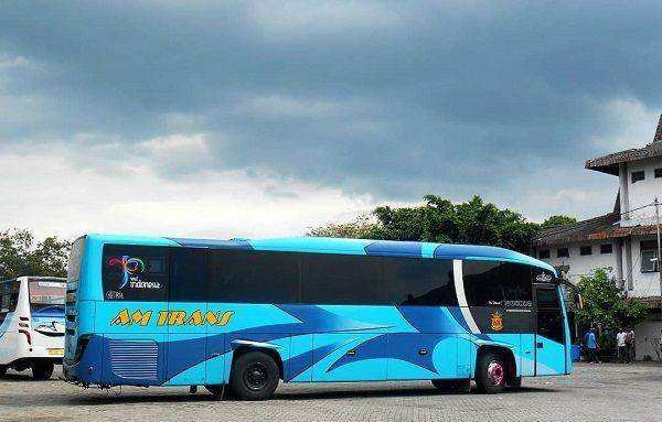 AM Trans (instagram.com/amtransportbus)
