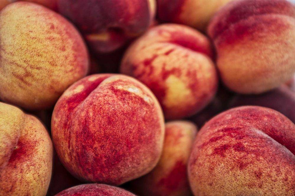 ilustrasi buah peach (unsplash.com/@eprouzet)