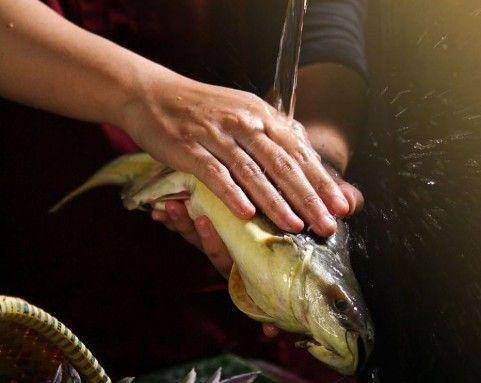 membersihkan ikan patin (instagram.com/patinbambubanjarhulu)