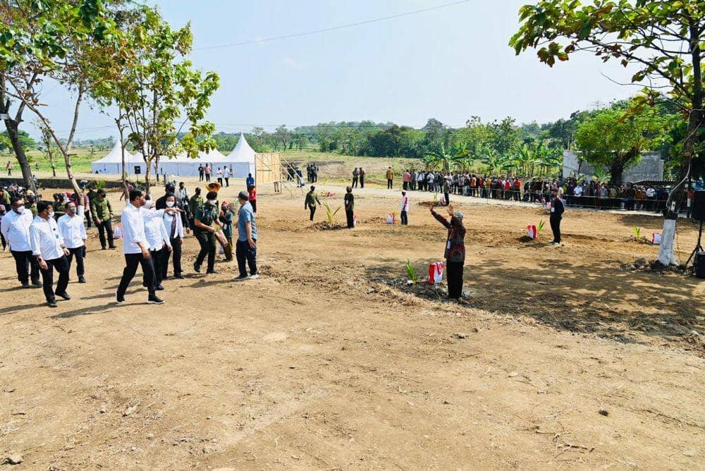 Presiden Jokowi menanam pohon kelapa genjah di Desa Giriroto, Ngemplak, Boyolali. (dok. Sekretariat Presiden)