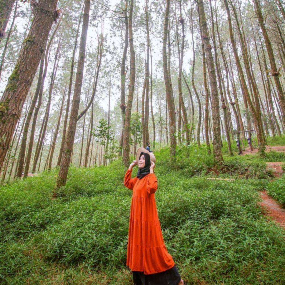 Top Selfie Hutan Pinus Kragilan (instagram.com/pujirisee)