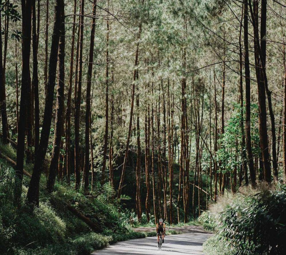 Top Selfie Hutan Pinus Kragilan (instagram.com/kristian.w_)