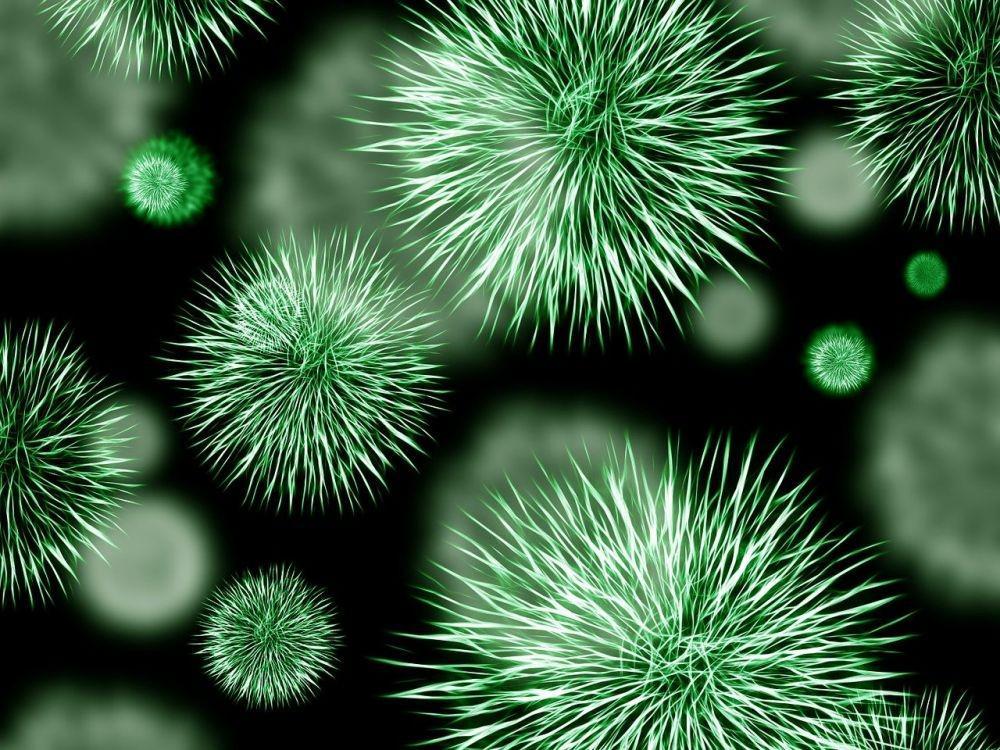 Infeksi Bakteri dan Virus, Apa Perbedaannya?