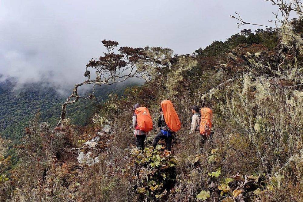 Pendakian ke gunung Baliase-Kabentonu (instagram.com/khansa_summiters)