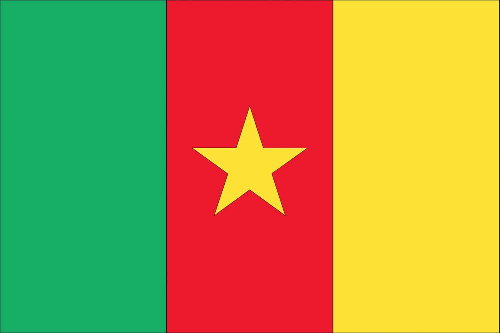 Ilustrasi bendera Kamerun. (Pixabay.com/mayns82)