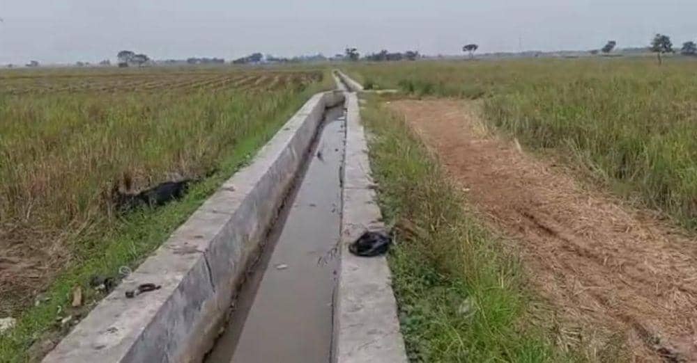Ketahanan Pangan di Subang Terjaga Berkat Program RJIT Kementan