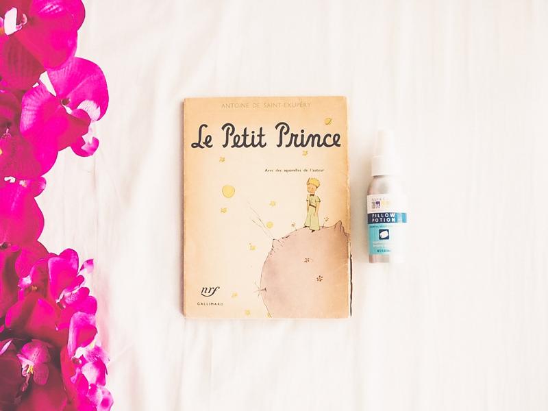 6 Pelajaran Hadapi Masalah Hidup dari Novel Le Petit Prince