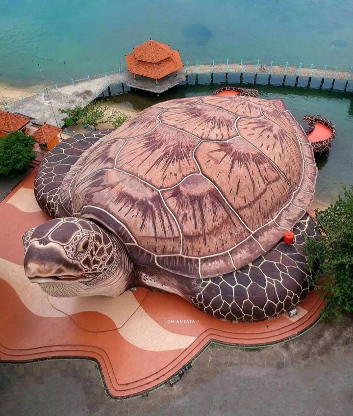 kura-kura ocean park (instagram.com/dhian_hardjodisastro)