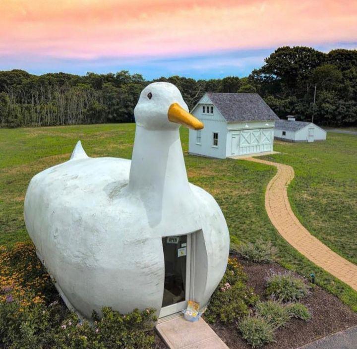 big duck (instagram.com/bucketlistli)